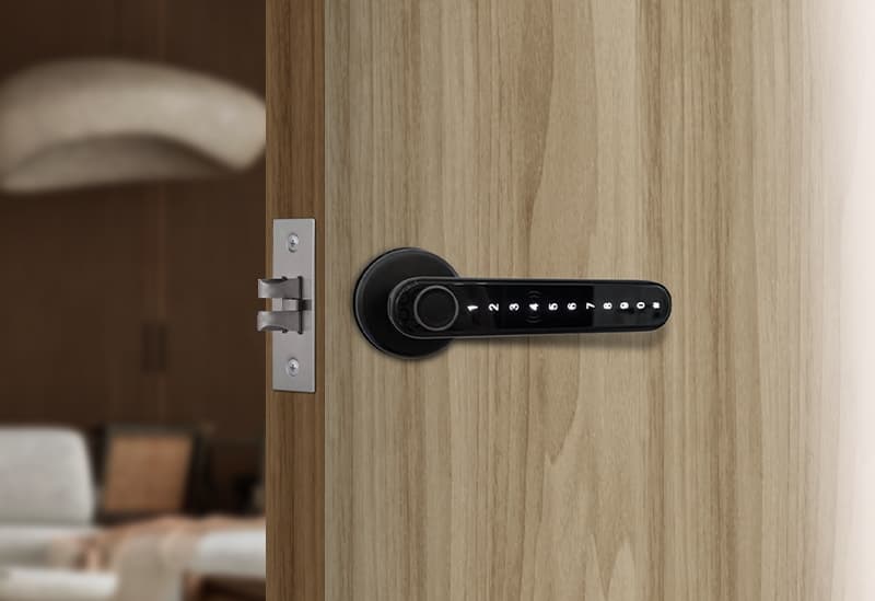 Simpled Leverline handle on a wooden door showing the latch mechanism, reversible for left or right-hung doors
