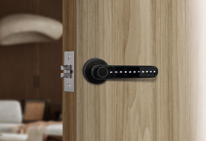 Simpled Leverline handle on a wooden door showing the latch mechanism, reversible for left or right-hung doors